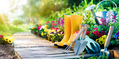 Create an Easy Budget-Friendly Sensory Garden